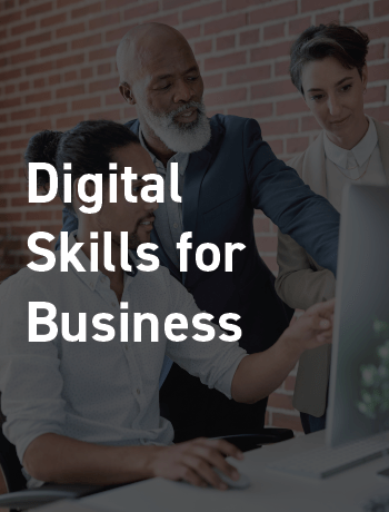 Digital Skills for Business - Apprenticeship